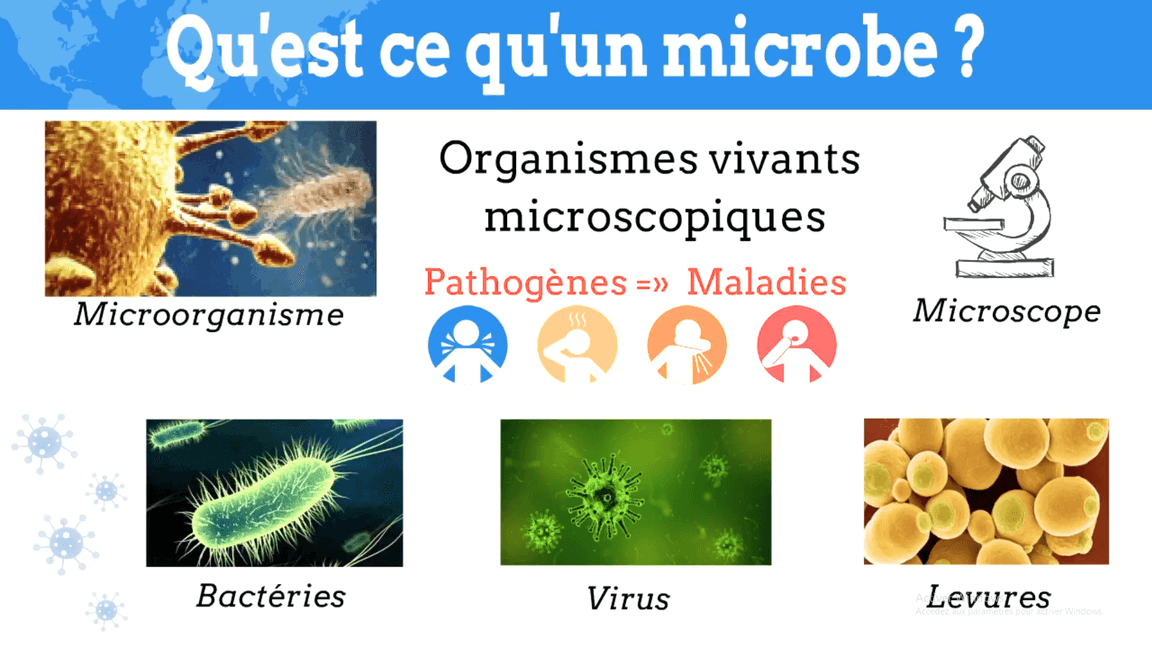 Prévention des infections